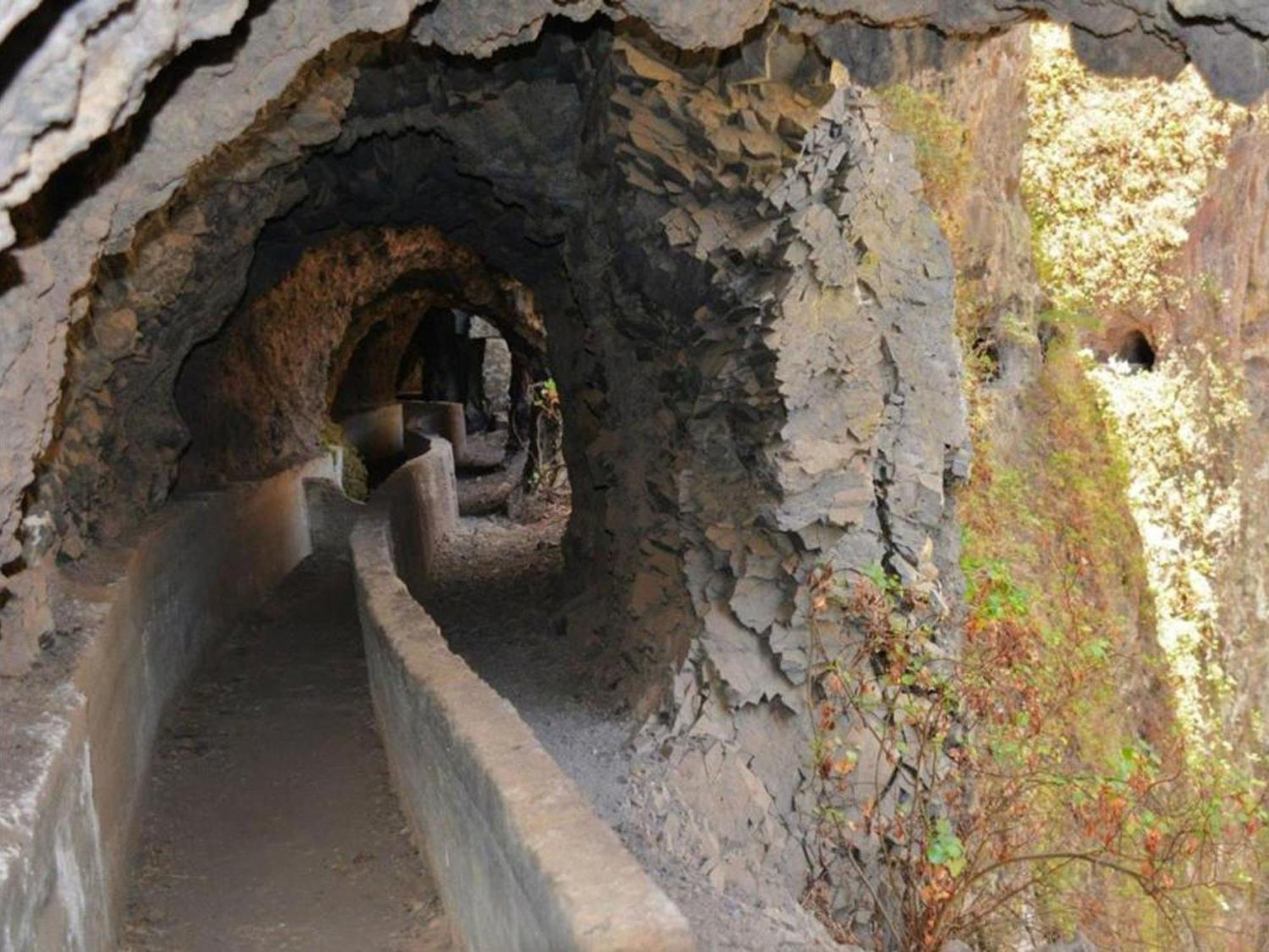 Live Puertito Paseo Daire Puertito de Guimar Dış mekan fotoğraf